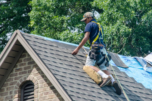 Best Local Roofing Companies  in Mount Gilead, NC